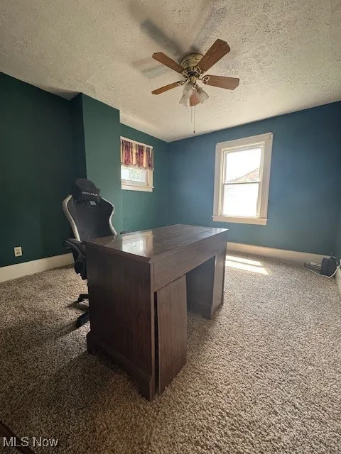 115 N Richview Avenue, Youngstown, Ohio 44509,MLS Now Listing ID