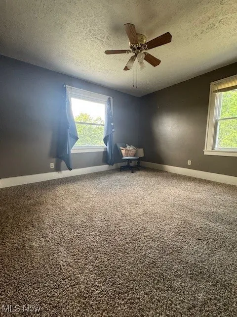 115 N Richview Avenue, Youngstown, Ohio 44509,MLS Now Listing ID