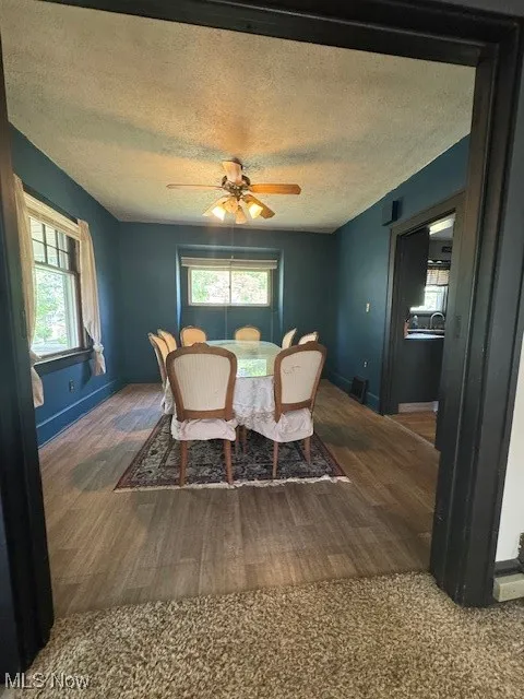 115 N Richview Avenue, Youngstown, Ohio 44509,MLS Now Listing ID
