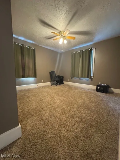 115 N Richview Avenue, Youngstown, Ohio 44509,MLS Now Listing ID