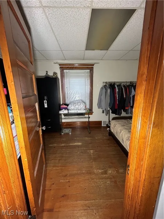 Spacious closet featuring a paneled ceiling and dark wood-style flooring