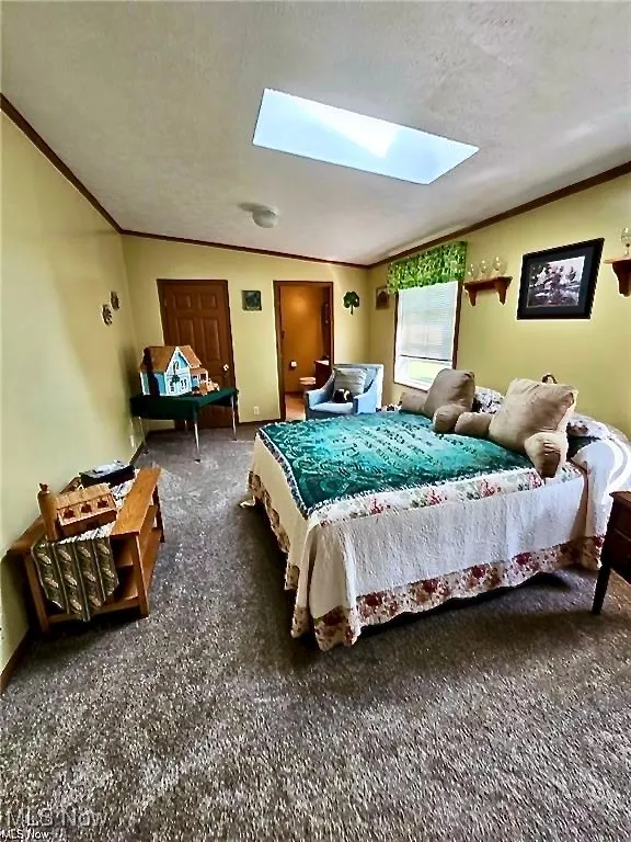 Carpeted bedroom with walk in closet featuring ornamental molding, a skylight, vaulted ceiling, and a textured ceiling