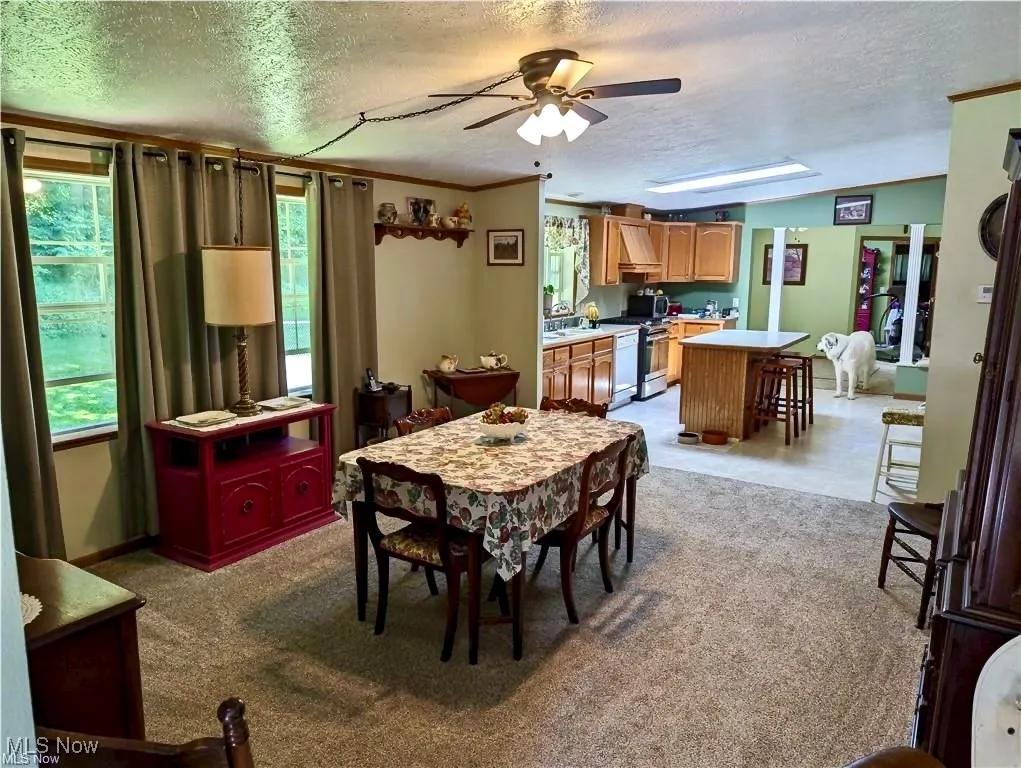 Dining space featuring a textured ceiling, light carpet, ornamental molding, and ceiling fan