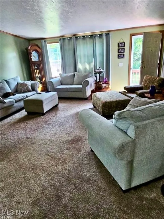 Living area with dark carpet, plenty of natural light, a textured ceiling, and crown molding
