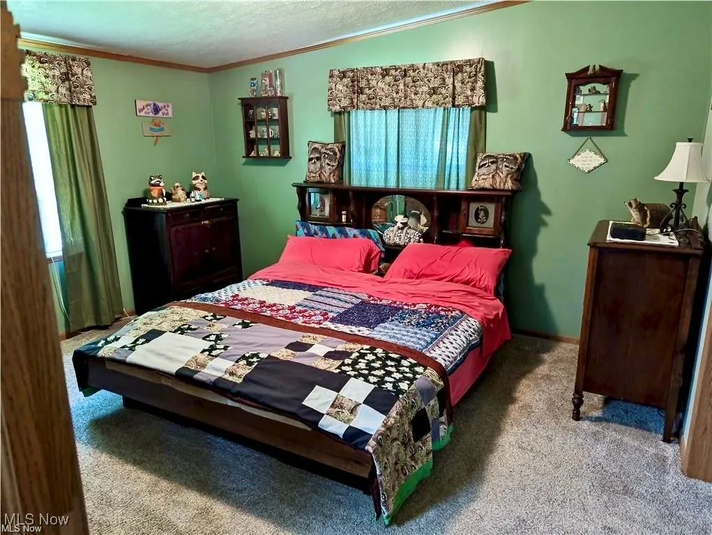 Bedroom with carpet floors, walk in closet, ornamental molding, multiple windows, and a textured ceiling