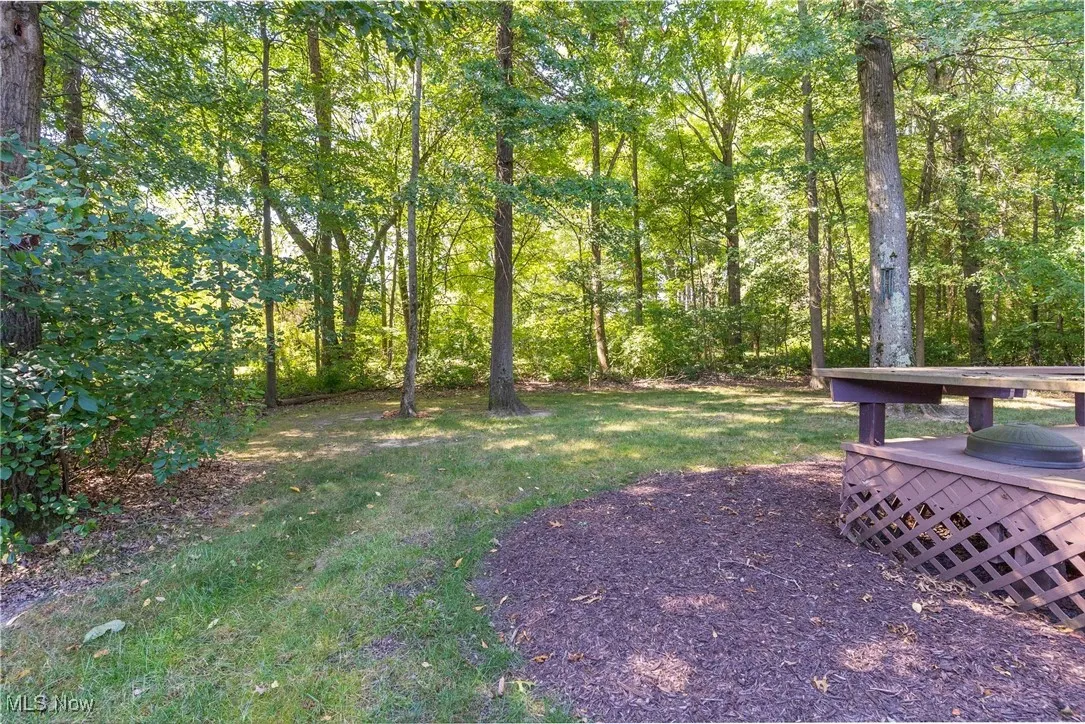 View of beautiful backyard wooded.