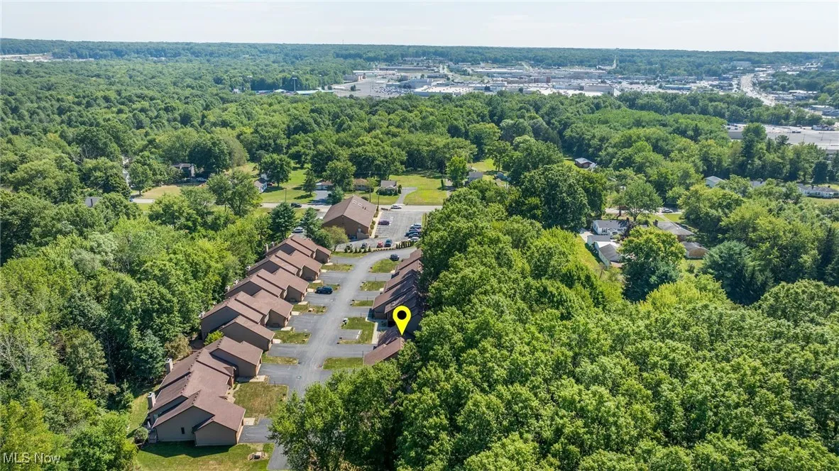Aerial view of a forest