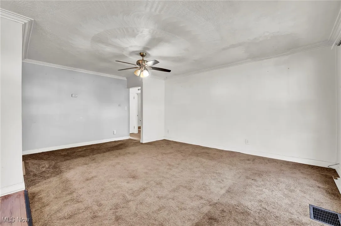 Spare room featuring carpet floors, crown molding, a ceiling fan, and a textured ceiling