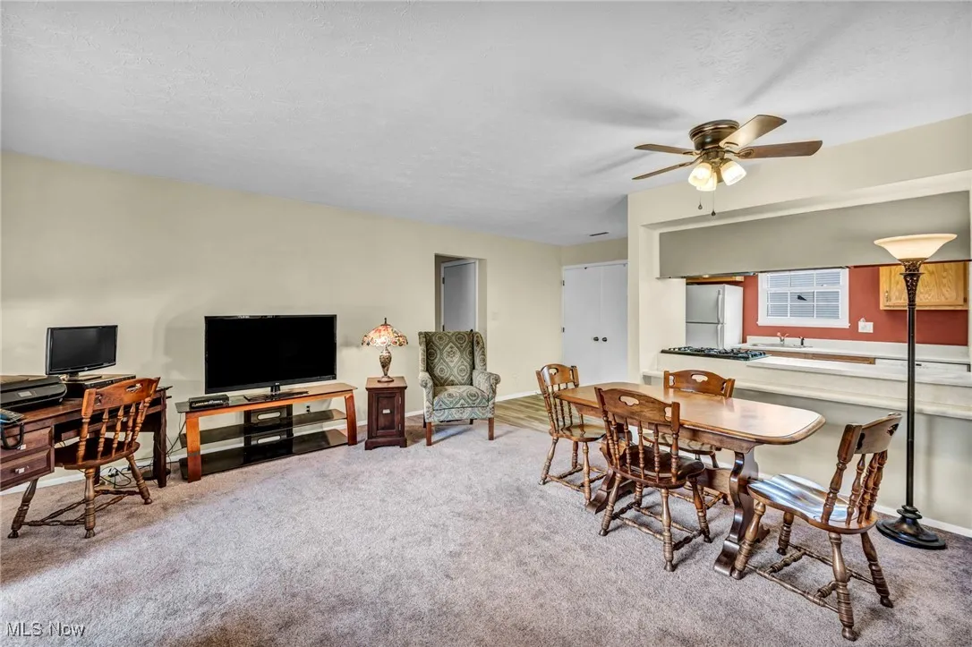 8109 Puritan Drive # A, Mentor, Ohio 44060,MLS Now Listing ID