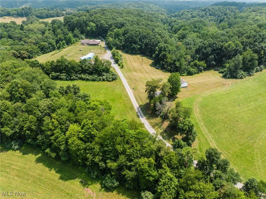 Bird's eye view of a forest