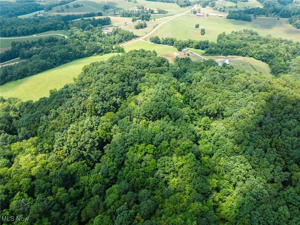Aerial overview of property's location with a forest