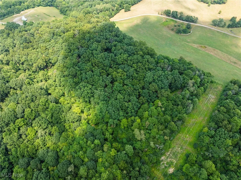 View of property location featuring a heavily wooded area