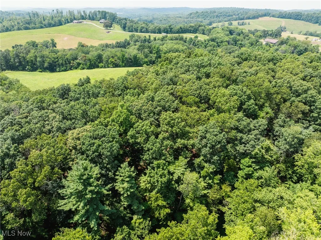 Bird's eye view of a heavily wooded area