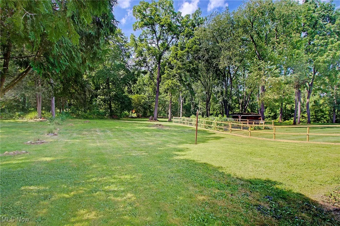View of grassy yard