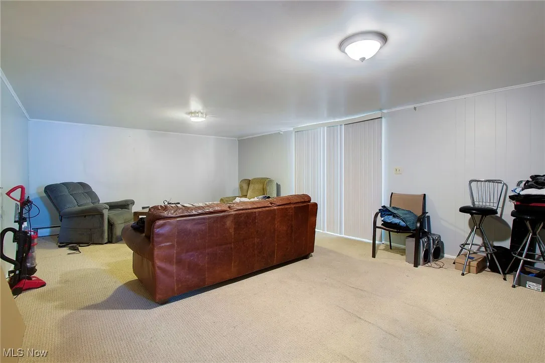 Living area featuring carpet flooring, crown molding, and baseboard heating