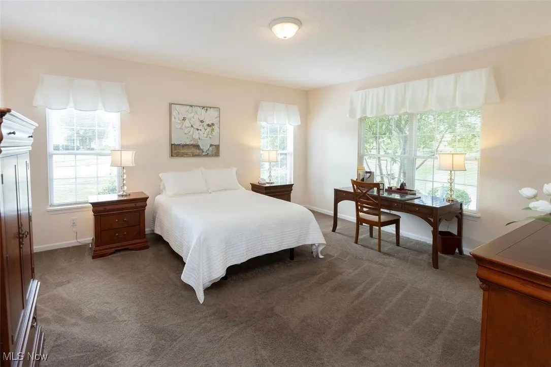 Master Bedroom featuring carpet flooring and plenty of natural light