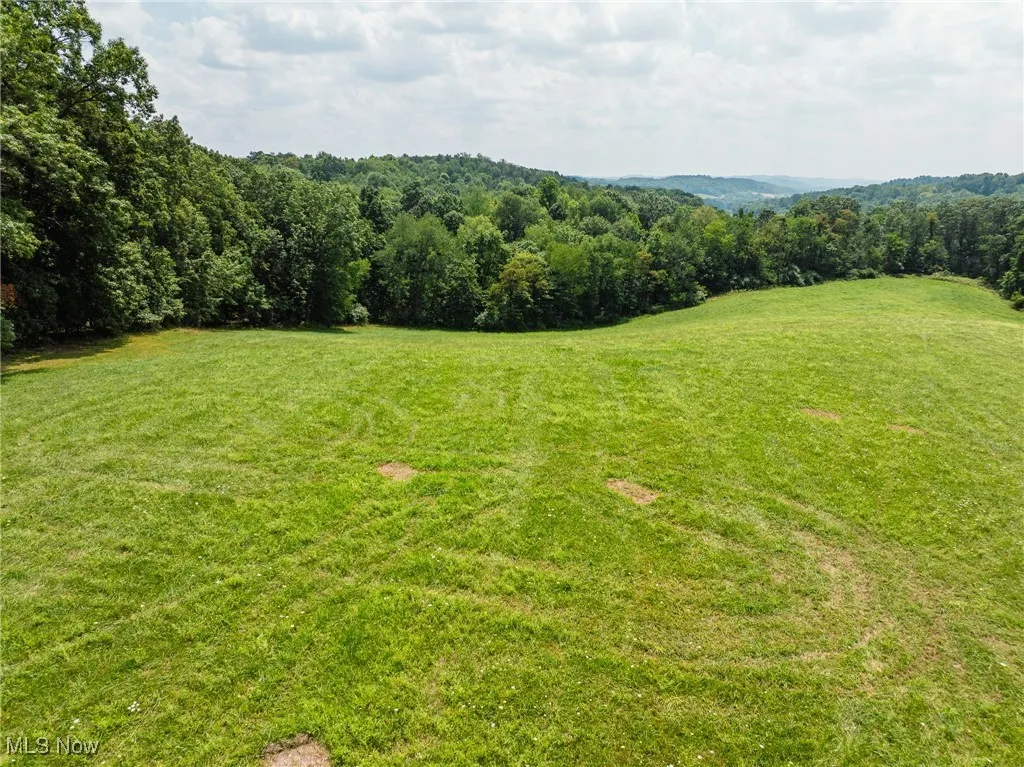 View of grassy yard featuring a forest view