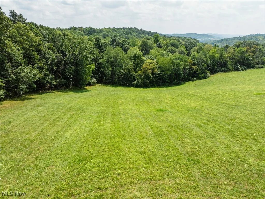 View of grassy yard