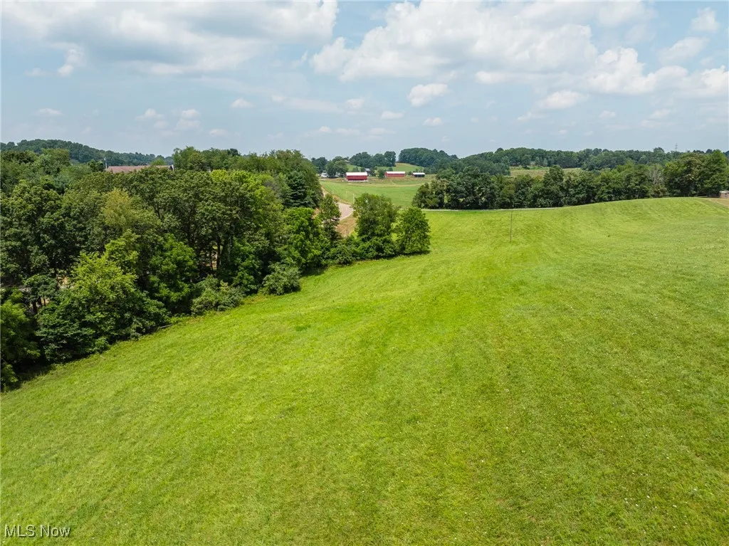 View of woods with a rural view