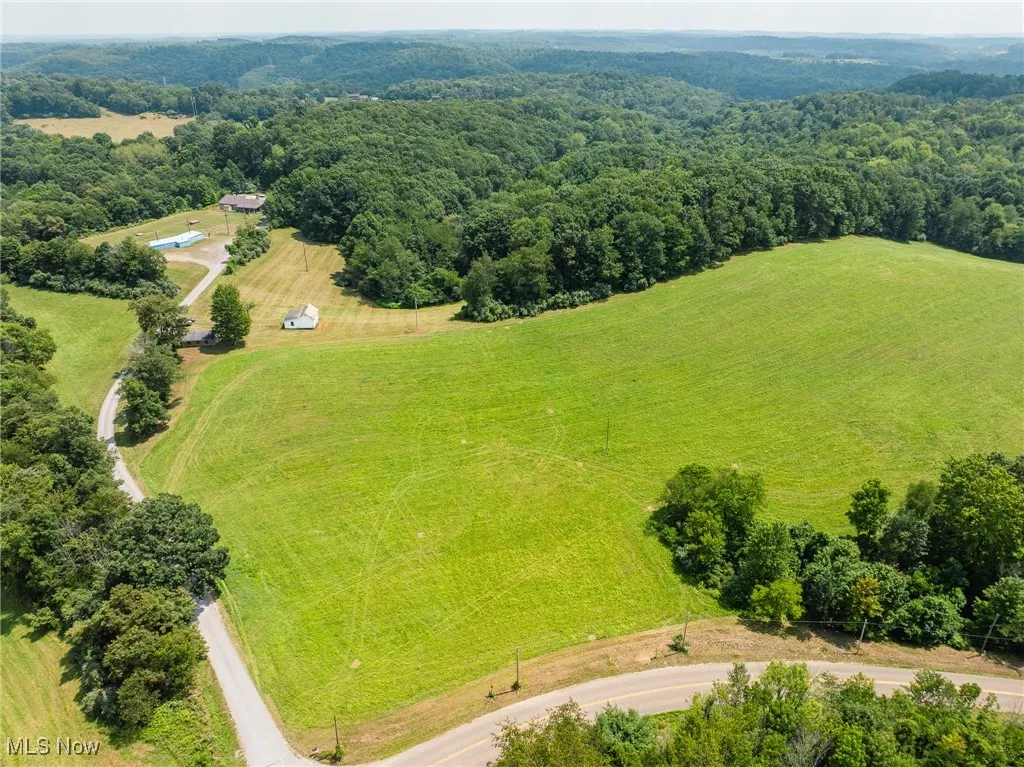 Drone / aerial view of a forest