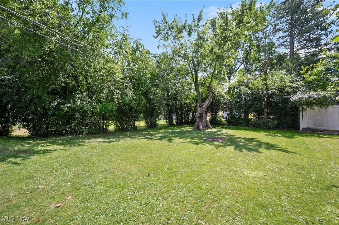 View of green lawn