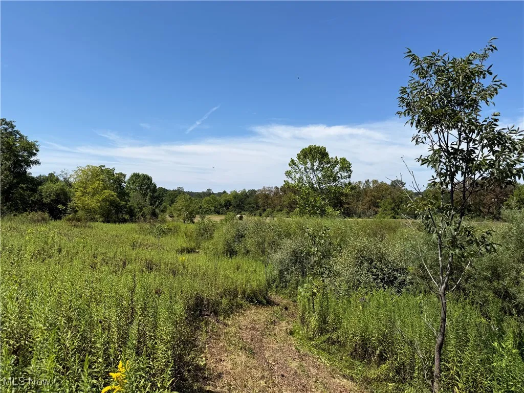 60936 Patch Road, New Concord, Ohio 43762,MLS Now Listing ID