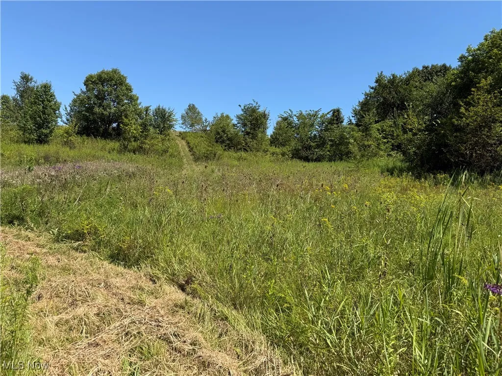 60936 Patch Road, New Concord, Ohio 43762,MLS Now Listing ID