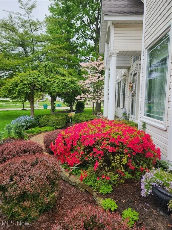 Front landscaping (Spring photo)