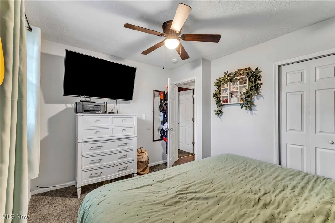 Primary bedroom featuring modern paint scheme, carpet, ceiling fan and closet.