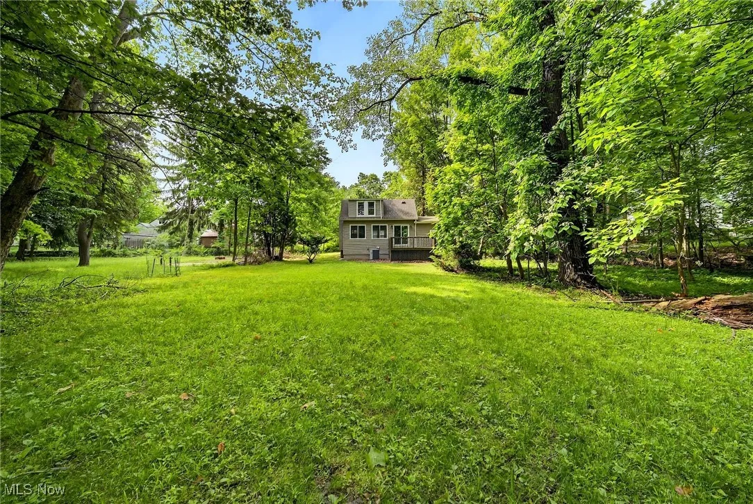 View of green lawn