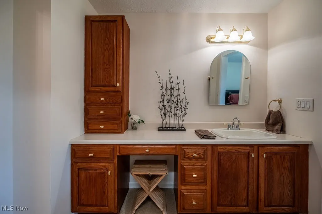 Ensuite bathroom with vanity