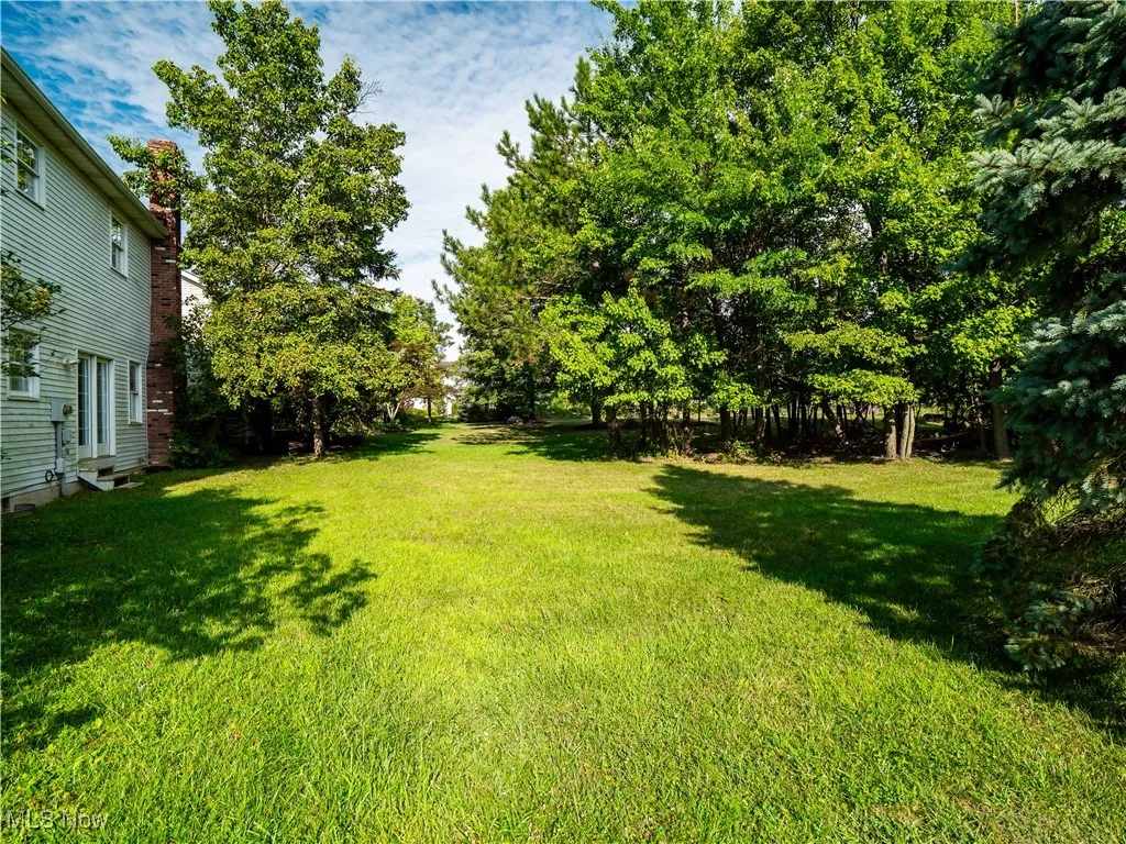 View of grassy yard