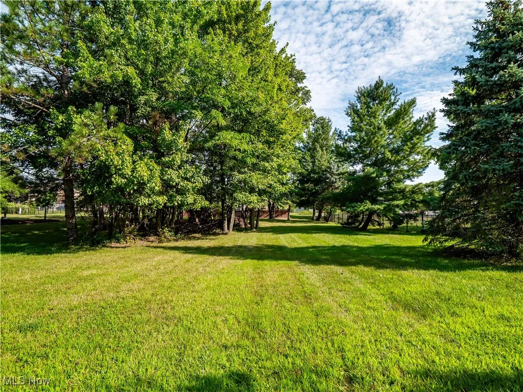 View of green lawn with view of scattered trees
