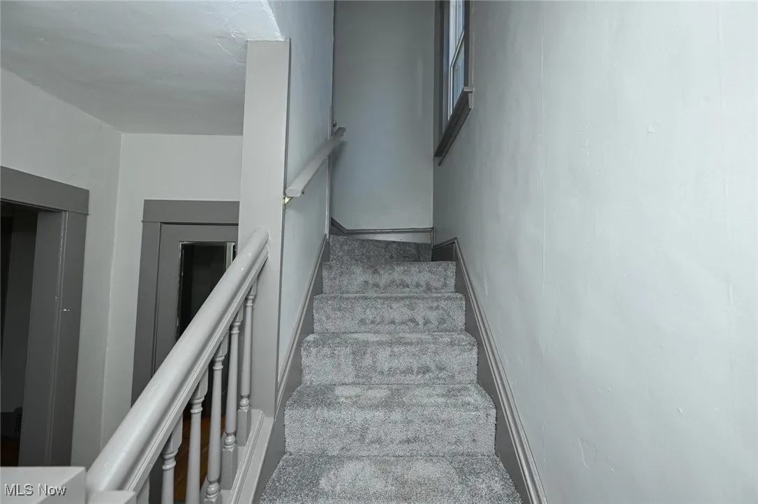 Staircase with carpet flooring