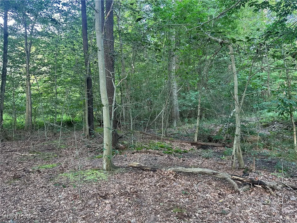 15300 Fedeli Lane, Novelty, Ohio 44072,MLS Now Listing ID