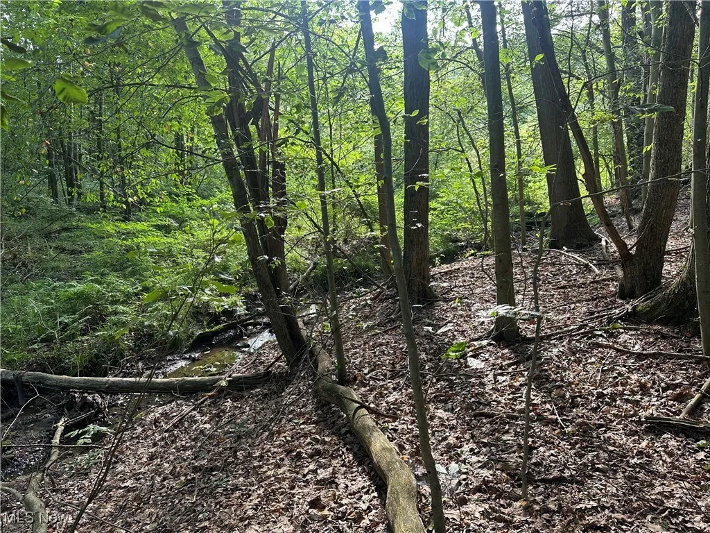 15300 Fedeli Lane, Novelty, Ohio 44072,MLS Now Listing ID