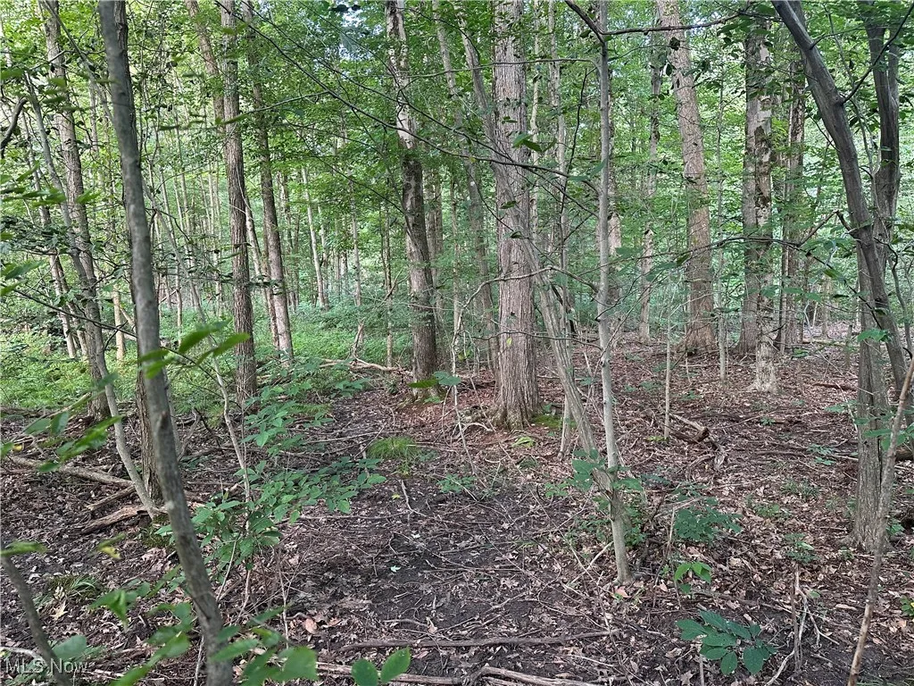 15300 Fedeli Lane, Novelty, Ohio 44072,MLS Now Listing ID