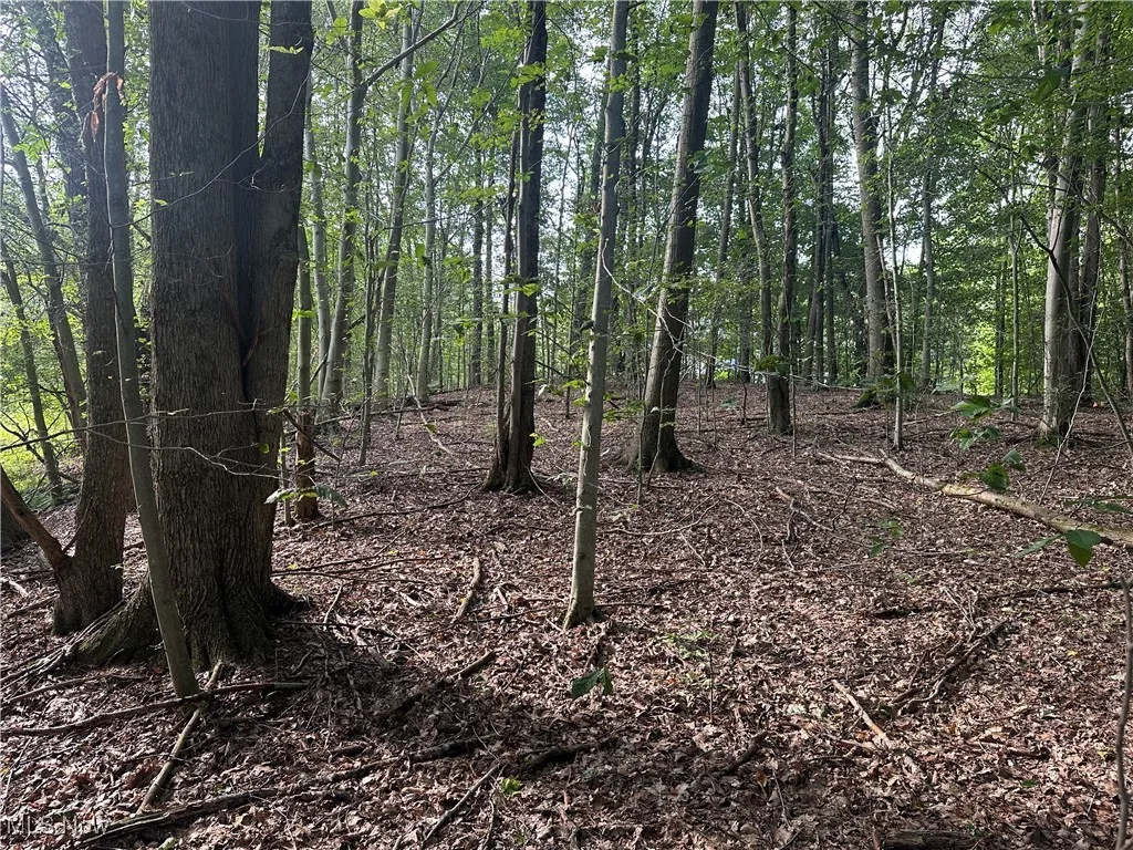15300 Fedeli Lane, Novelty, Ohio 44072,MLS Now Listing ID