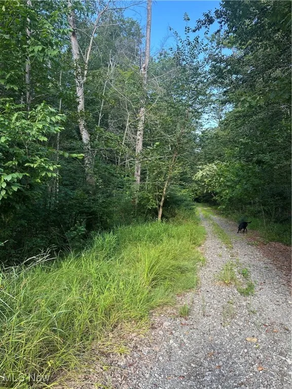 15300 Fedeli Lane, Novelty, Ohio 44072,MLS Now Listing ID
