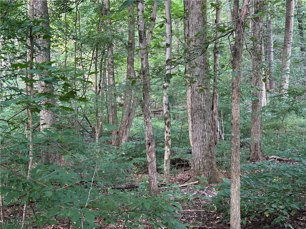 15300 Fedeli Lane, Novelty, Ohio 44072,MLS Now Listing ID