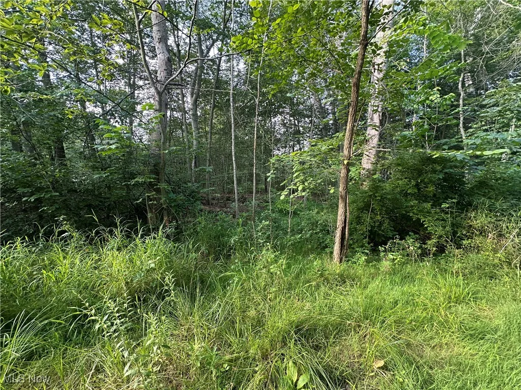 15300 Fedeli Lane, Novelty, Ohio 44072,MLS Now Listing ID