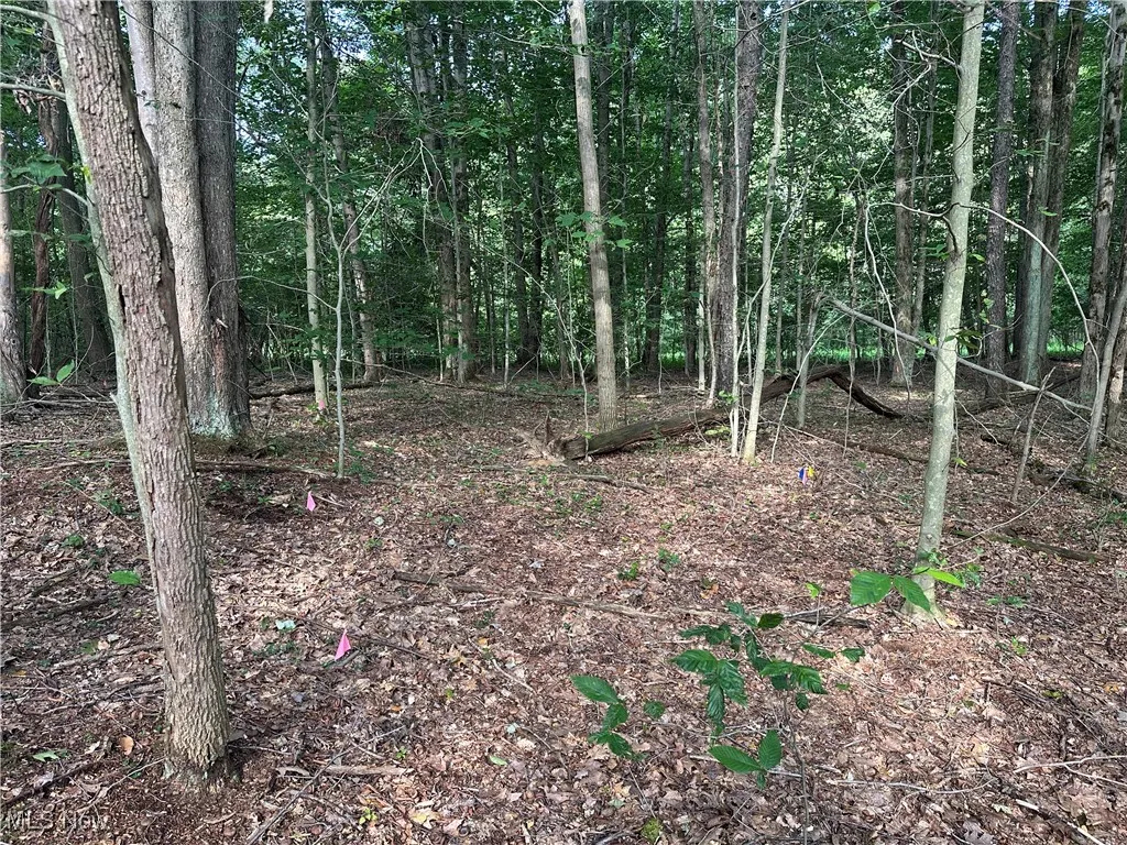 15300 Fedeli Lane, Novelty, Ohio 44072,MLS Now Listing ID