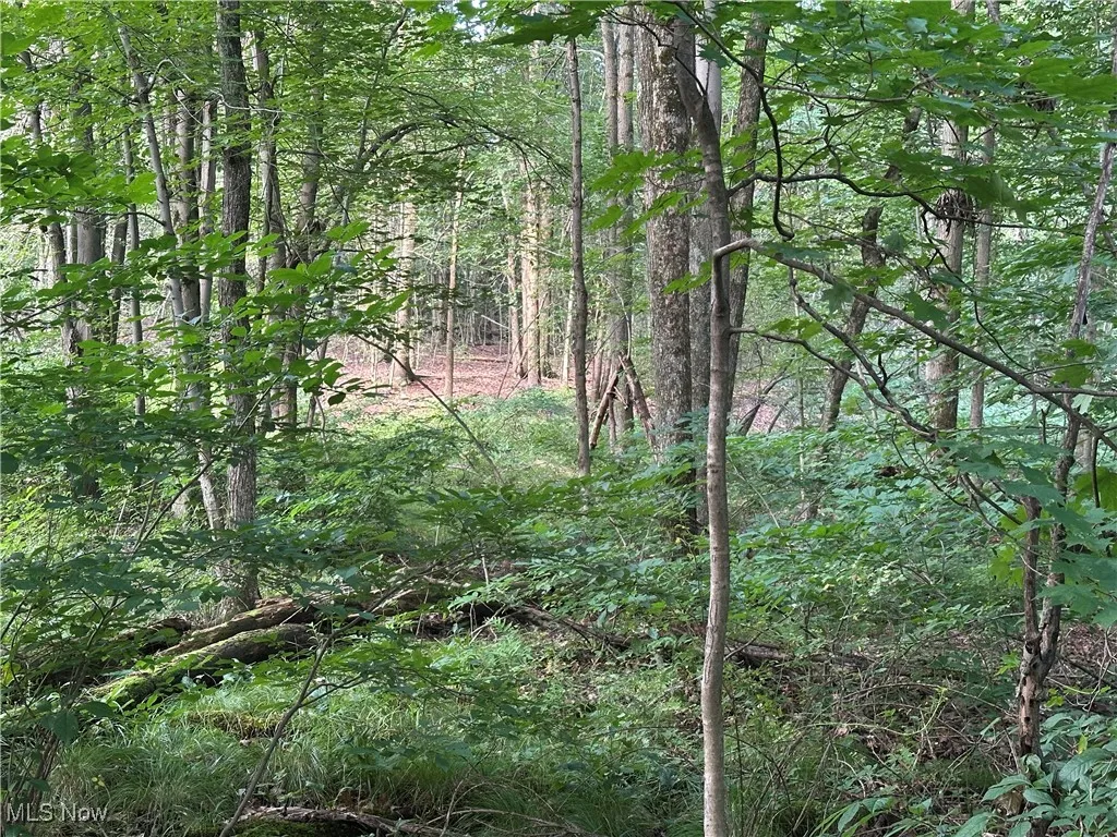 15300 Fedeli Lane, Novelty, Ohio 44072,MLS Now Listing ID