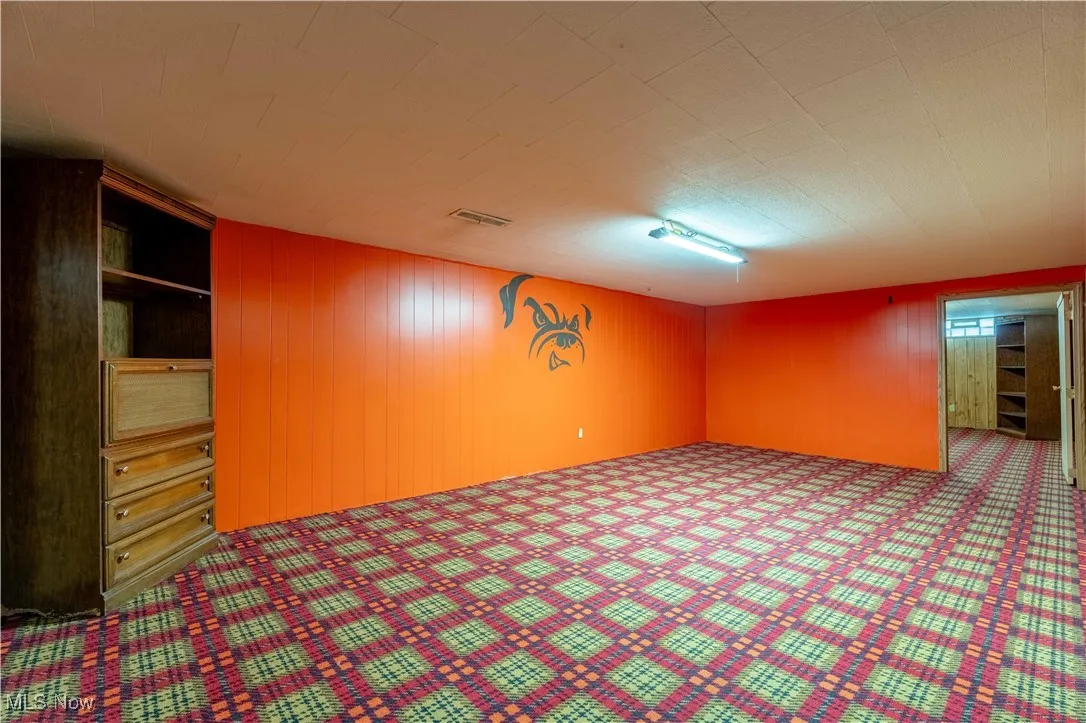 Finished basement featuring wood walls and carpet flooring