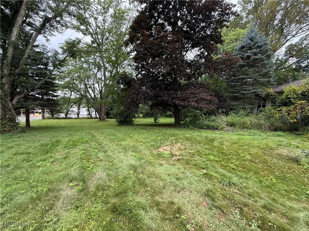 11618 South Avenue, North Lima, Ohio 44452,MLS Now Listing ID