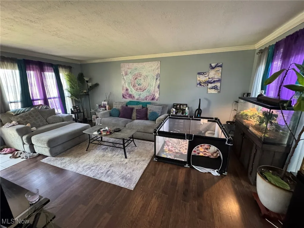 Living room featuring crown molding, a textured ceiling, and wood finished floors