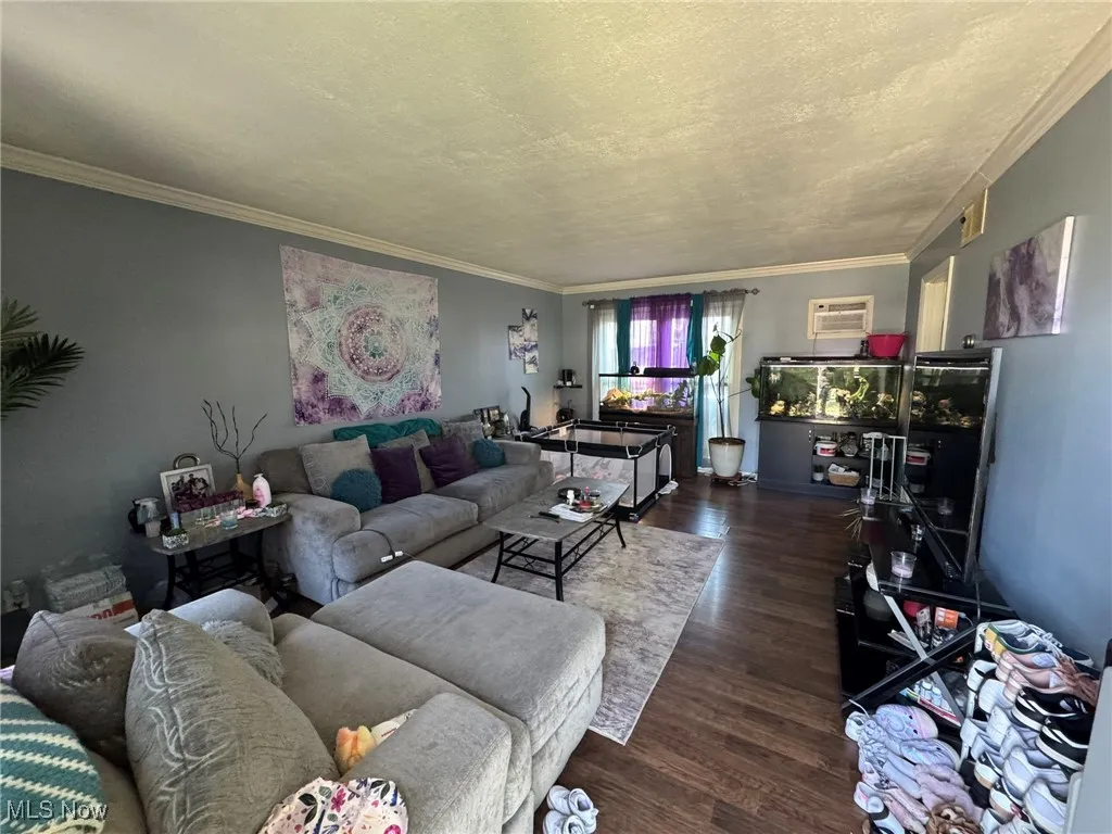 Living room featuring crown molding, dark wood-style flooring, a textured ceiling, and a wall mounted AC
