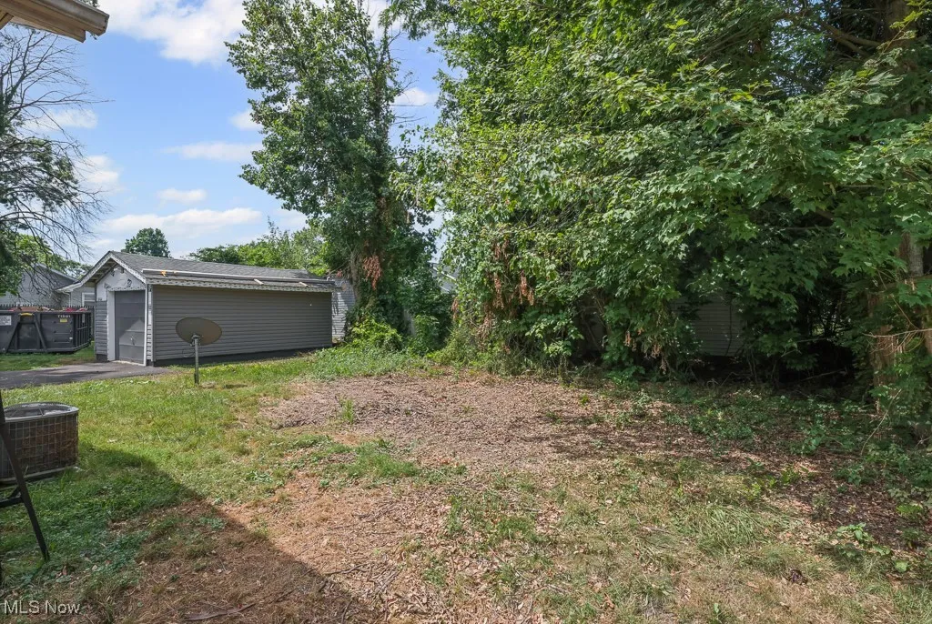 Back yard