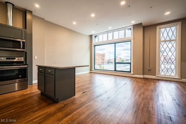 Kitchen with appliances with stainless steel finishes, dark wood-type flooring, recessed lighting, open floor plan, and a center island