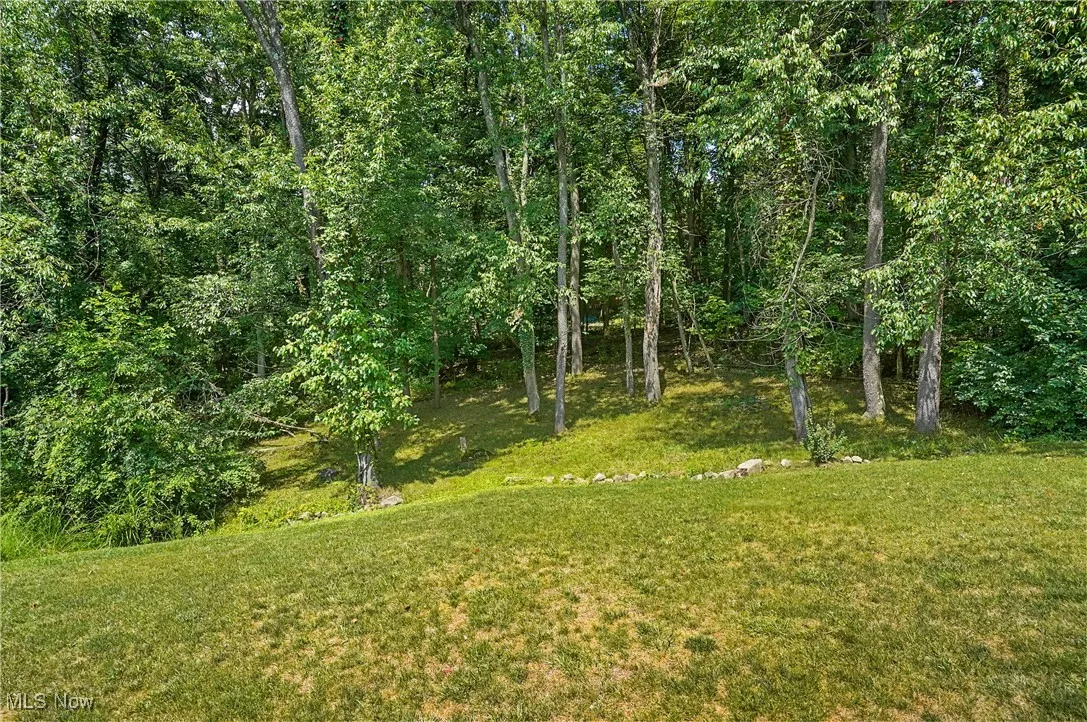 View of green lawn